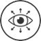 Vision